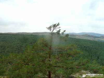 Canencia-Mojonavalle-Sestil de Maillo;la pedriza charca verde excursiones cerca de madrid con niños